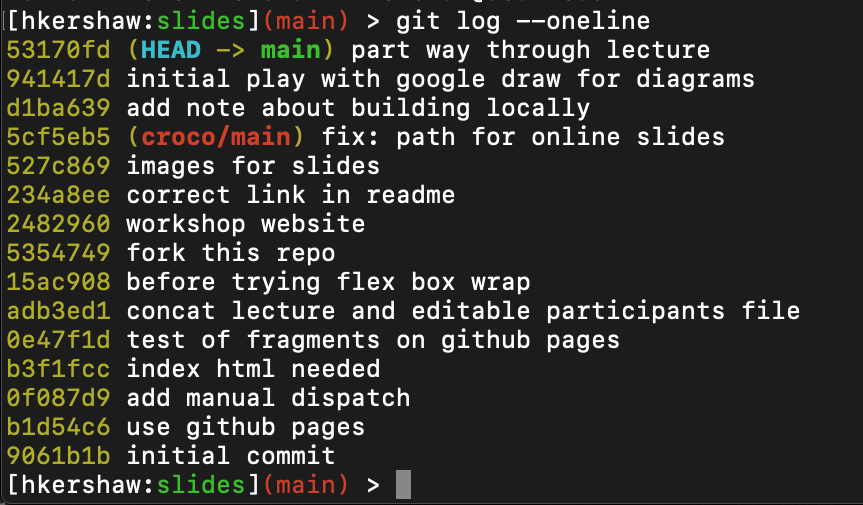 Git & GitHub Lecture