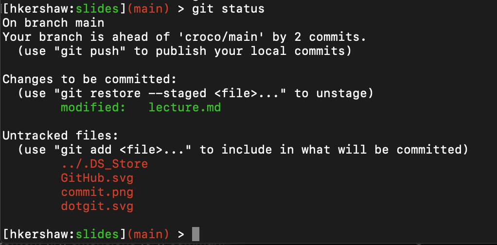 Git & GitHub Lecture
