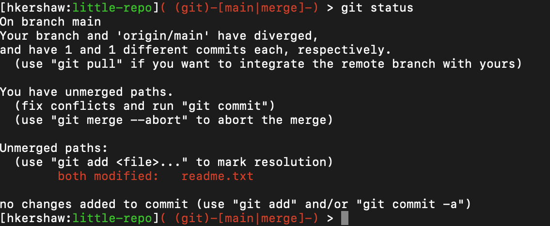 Git & GitHub Lecture